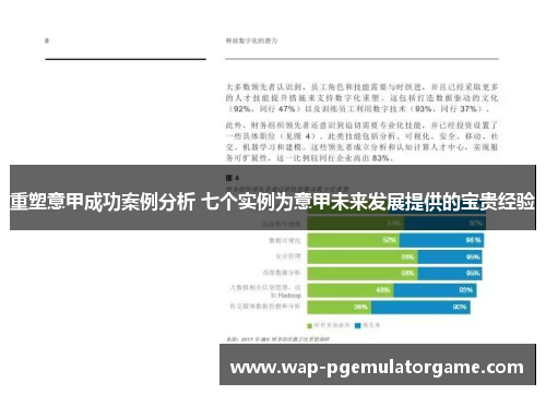 重塑意甲成功案例分析 七个实例为意甲未来发展提供的宝贵经验 重塑意甲成功案例分析 七个实例为意甲未来发展提供的宝贵经验