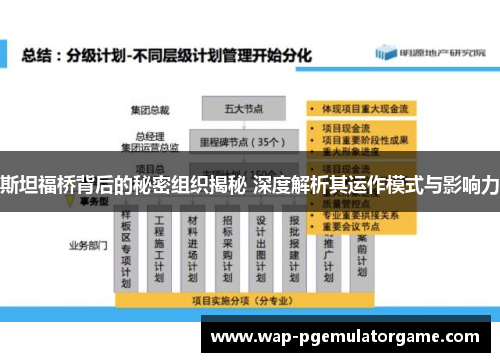 斯坦福桥背后的秘密组织揭秘 深度解析其运作模式与影响力