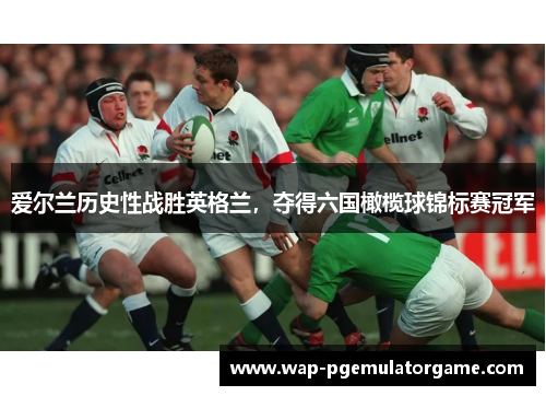 爱尔兰历史性战胜英格兰，夺得六国橄榄球锦标赛冠军