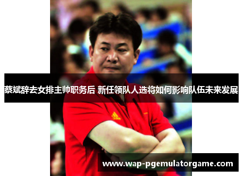 蔡斌辞去女排主帅职务后 新任领队人选将如何影响队伍未来发展 蔡斌辞去女排主帅职务后 新任领队人选将如何影响队伍未来发展