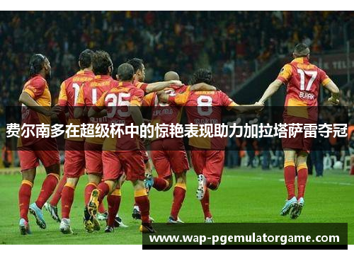 费尔南多在超级杯中的惊艳表现助力加拉塔萨雷夺冠